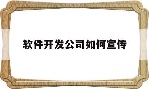 软件开发公司如何宣传(软件开发公司如何宣传广告)