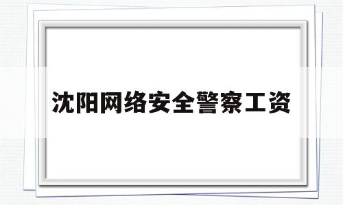 沈阳网络安全警察工资(沈阳市公安局网络警察支队管什么的)