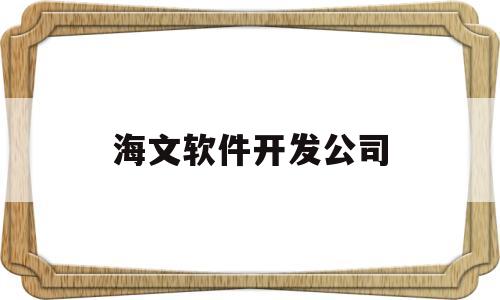 海文软件开发公司(海文软件开发公司怎么样)