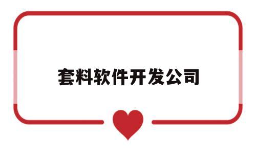 套料软件开发公司(套料软件开发公司有哪些)