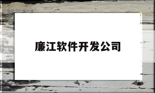 廉江软件开发公司(廉江市开发区工厂2020招聘)