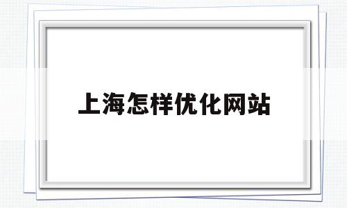 上海怎样优化网站(上海优化seo公司)