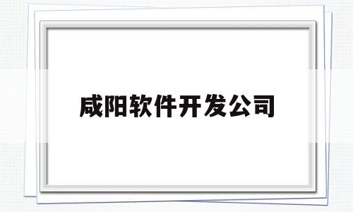 咸阳软件开发公司(咸阳软件开发公司招聘)