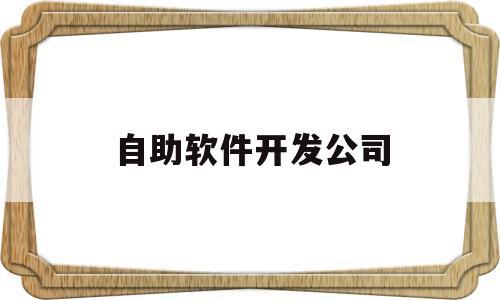 自助软件开发公司(app自助开发平台)