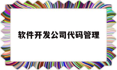 软件开发公司代码管理(软件开发公司一般叫什么名字)