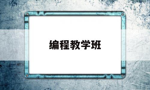 编程教学班(编程课程培训班)