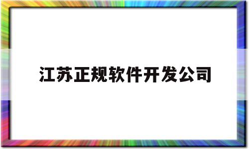 江苏正规软件开发公司(江苏正规软件开发公司排名)