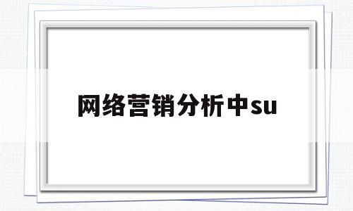 网络营销分析中su(网络营销分析报告范文)