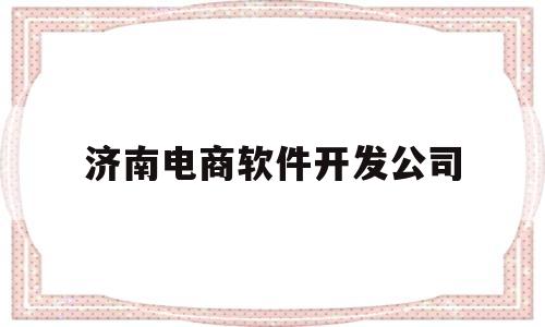 济南电商软件开发公司(济南电商软件开发公司排名)