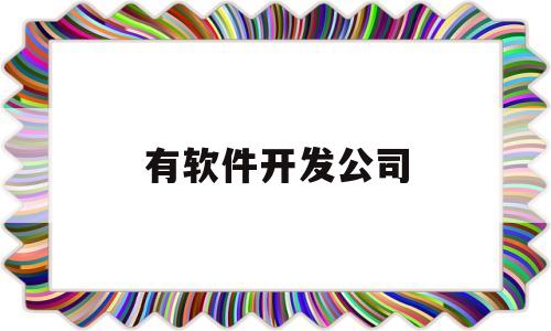 有软件开发公司(软件开发公司简介)