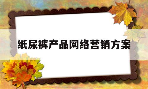 纸尿裤产品网络营销方案的简单介绍