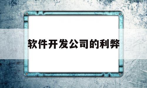 软件开发公司的利弊(软件开发公司有什么优惠政策)