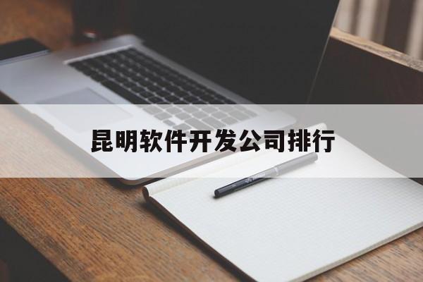 昆明软件开发公司排行(昆明软件开发公司新公司)