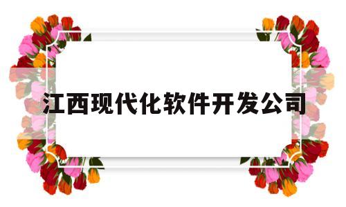 江西现代化软件开发公司(江西软件和信息服务业百强企业报告)