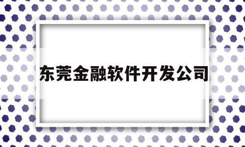 东莞金融软件开发公司(东莞金融软件开发公司招聘)