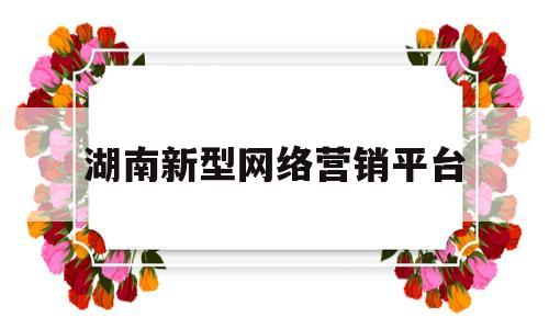 湖南新型网络营销平台(湖南新型网络营销平台官网)