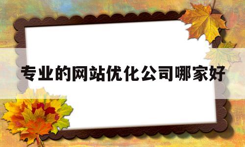 关于专业的网站优化公司哪家好的信息