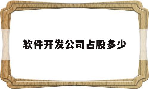 软件开发公司占股多少(软件公司投资需要多少钱)