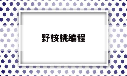 野核桃编程(核桃编程教学视频)