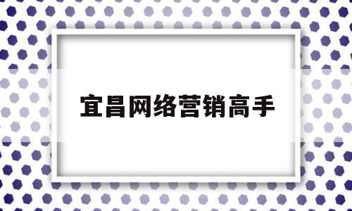 宜昌网络营销高手(网络营销大师排行榜)