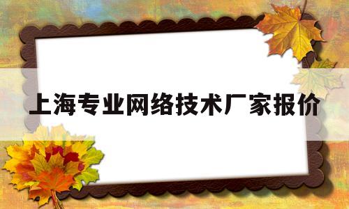 上海专业网络技术厂家报价(上海的网络科技公司哪家可靠?)