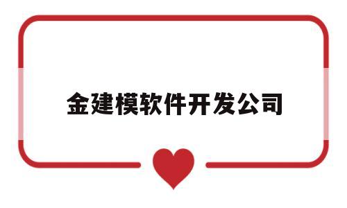 金建模软件开发公司(金建模事件是真实的吗)