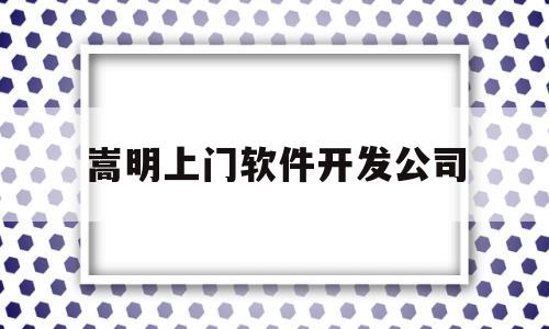 嵩明上门软件开发公司(昆明app软件专业开发公司)