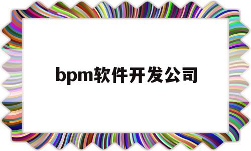 关于bpm软件开发公司的信息