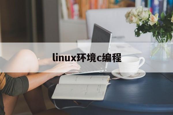 linux环境c编程(linux环境编程实验总结)