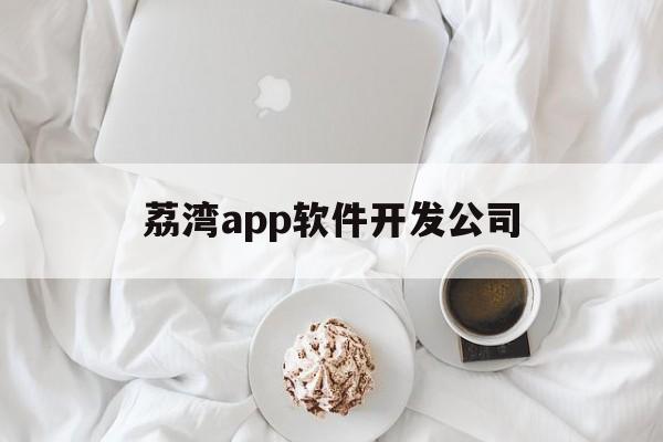 荔湾app软件开发公司(荔湾app软件开发公司有哪些)