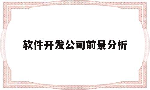 软件开发公司前景分析(软件开发公司前景分析怎么写)