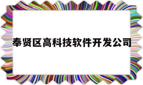 奉贤区高科技软件开发公司(奉贤区高科技软件开发公司招聘)