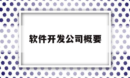 软件开发公司概要(软件开发公司一般有什么部门)