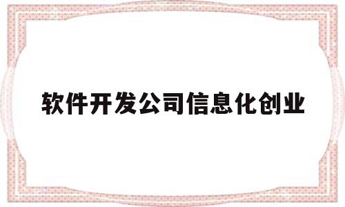 软件开发公司信息化创业(软件开发公司信息化创业计划书)