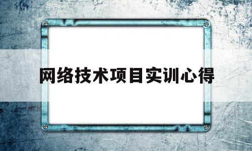 网络技术项目实训心得(网络技术项目实训心得感悟)