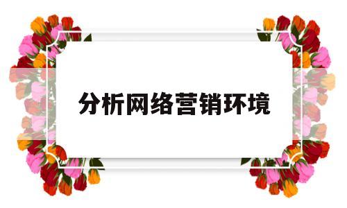 分析网络营销环境(分析网络营销环境的重要性)