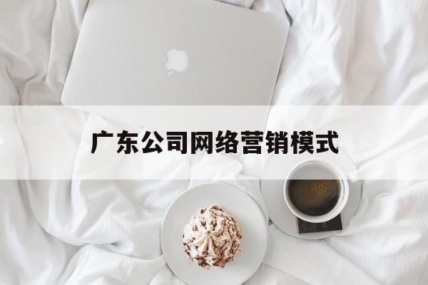 广东公司网络营销模式(企业网络营销的模式有哪些?)