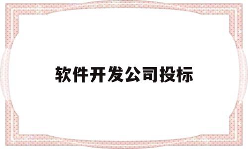 软件开发公司投标(软件开发招标需要资质吗?)