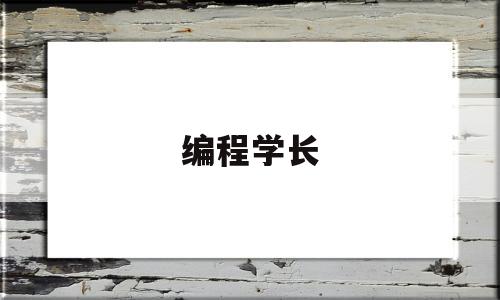 编程学长(编程学姐)