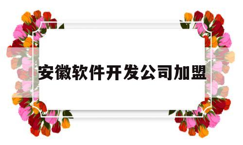 安徽软件开发公司加盟(安徽软件开发公司排名)