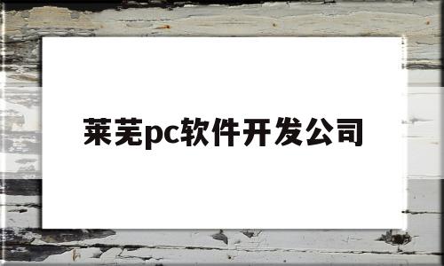 莱芜pc软件开发公司(莱芜程序员招聘)