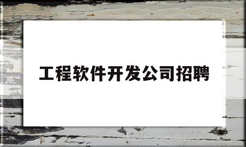 工程软件开发公司招聘(软件开发招聘信息)