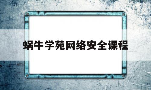 蜗牛学苑网络安全课程(网络安全培训学校排名)