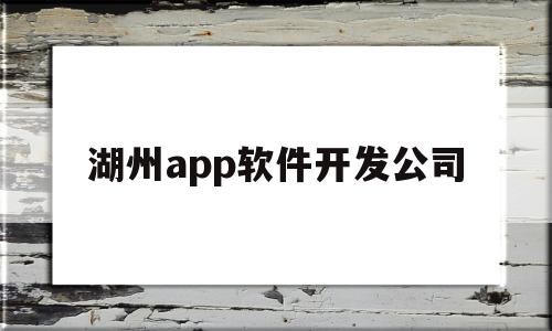 湖州app软件开发公司(湖州app软件开发公司招聘)