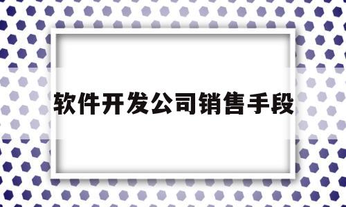 软件开发公司销售手段(软件开发公司怎么开展业务)