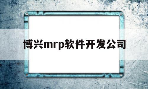 博兴mrp软件开发公司(已破解mrp游戏下载)