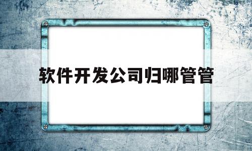 软件开发公司归哪管管(软件开发公司属于什么行业)