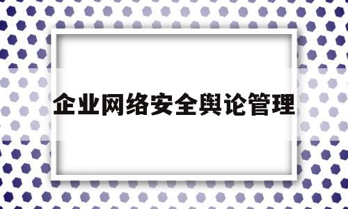 企业网络安全舆论管理(企业网络安全软件)