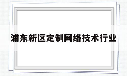 浦东新区定制网络技术行业(浦东新区的互联网公司)