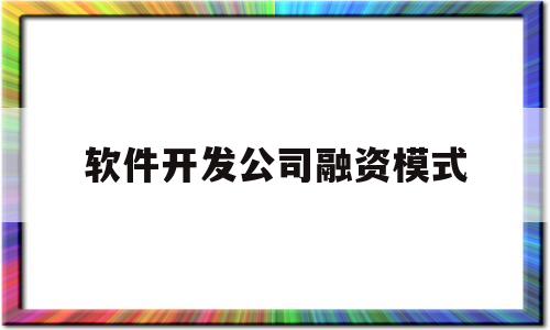 软件开发公司融资模式(软件开发公司融资模式有哪些)